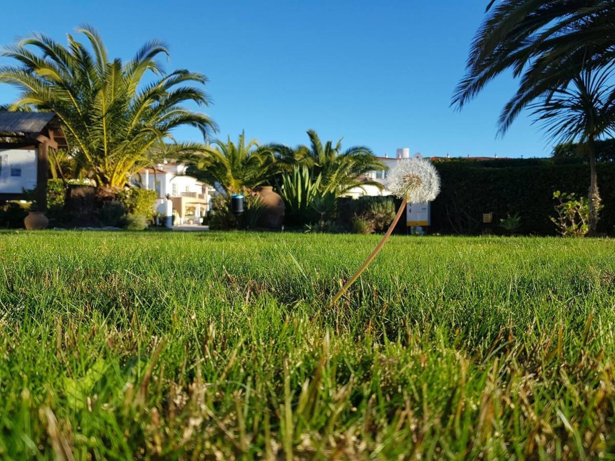 Luz Bay Hotel Bagian luar foto
